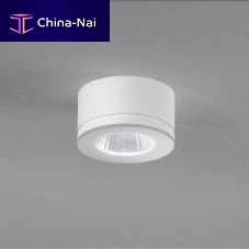 Surface mounted downlight NEWTON LEDroundIP54
