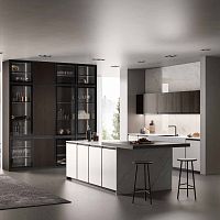 Contemporary kitchen KRONOS 01woodenglasspainted aluminum