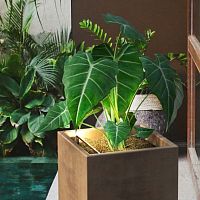 Surface-mounted spotlight LEDlineargarden