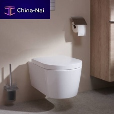Wall-hung WC 62025450ceramicrimlesscommercial