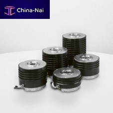 High-precision rotary indexing table RTMBielectricverticaldirect-drive