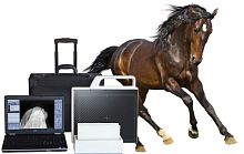 Veterinary radiography acquisition system DRportable