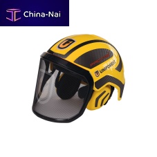 Forestry helmet Protosyellowblackwith visor