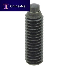 Round-end ball screw RCSclampingsocket headhex socket