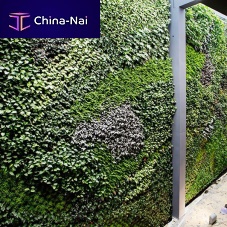 Preserved green wall VERTICAL EN ALCORCN - SEAFOOD RESTAURANTmodular-panelnaturalindoor