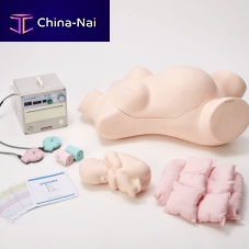 Training simulator M191-1palpationheart ratefor cardiotocography