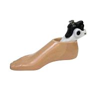 Multi-axis prosthetic foot A21K1for walkingadult