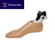 Multi-axis prosthetic foot A21K1for walkingadult