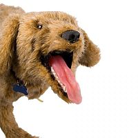 Veterinary training manikin Jerry K-9CPRbandagingdog