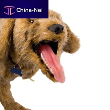 Veterinary training manikin Jerry K-9CPRbandagingdog