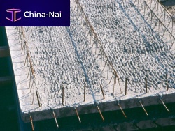 Reinforced concrete pre-slab