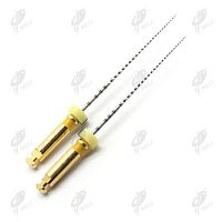Rotary endodontic file reciprocatingglide path