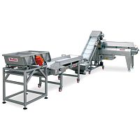 Sorter for the wine industry automaticfor grapesprocess