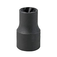 Bolt extractor SKEK