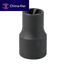 Bolt extractor SKEK