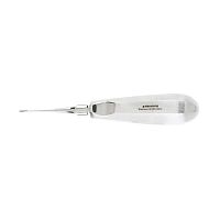 Straight dental elevator 8001315veterinary