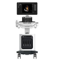 On-platform ultrasound system NeuEcho 20for multipurpose ultrasound imagingB/Wcolor doppler