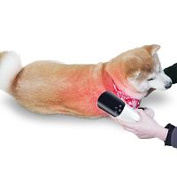 Veterinary photostimulation laser LED-Pfor petsfor equineshand-held