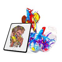 Medical software anatomyCTPET