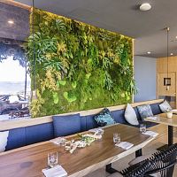 Indoor garden MOSS&PLANTS MID