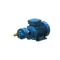 Gear pump BMF-BCFwaterwith electric motorself-priming
