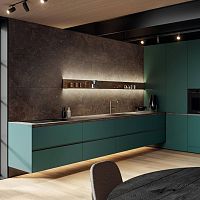 Contemporary kitchen 36e8 Cutsteellaminatewooden