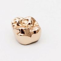 Gold dental prosthesis DPM Argenco Y+prefabricated