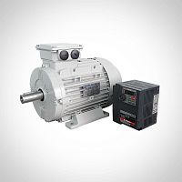 Three-phase motor WST seriessynchronous400 VIP55