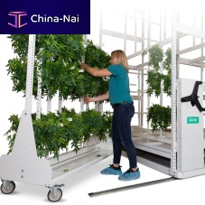 Steel plant support trellisfor climbing plantfor agricultural applications