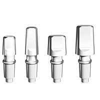 Stainless steel implant abutment 02.0x.0x seriesinternalstraightcemented