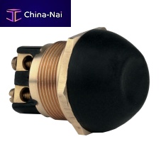 Waterproof switch 100.049mushroom2-poleon/off