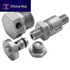 Rupture disc plug hexagonalthreadedmetal