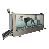 Underwater veterinary treadmill Hydro Physiowalkfor dogs