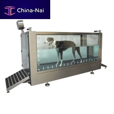 Underwater veterinary treadmill Hydro Physiowalkfor dogs