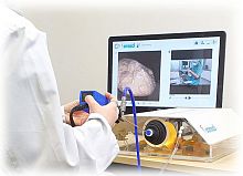 Surgical software endoscopytraining