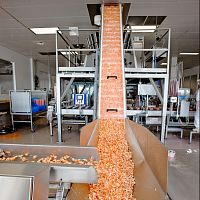 Modular belt conveyor PMcurvedinclinedstraight