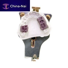 Fully-adjustable dental articulator Galetti brassaluminum