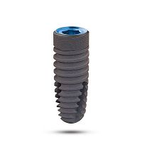 Conical dental implant Winnertitaniuminternal hexagonanatomical