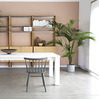 Contemporary chair ADRIAindoorsolid woodbentwood