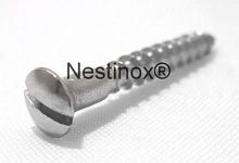 Wood screw button headslottedPhillips