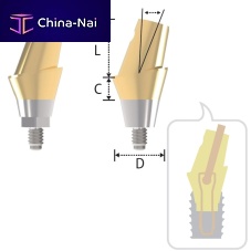 Conical implant abutment Sub. Beauty-up titaniuminternalconical