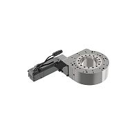 Rotary actuator electricworm gearfor machine tools