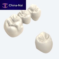 PMMA dental prosthesis compositezirconiaCoCr