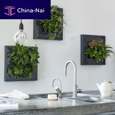 Living frame with live plants LivePicture GOnaturalindooroutdoor