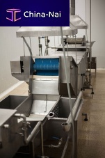 Continuous industrial cooker for fishshrimpwith cooler