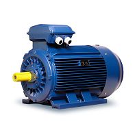 IP55 motor MF*Tthree-phaseasynchronous400 V