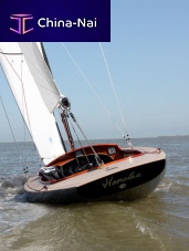 Day-sailer MAGIC DRAGONclassiccarbon mastelectric drive