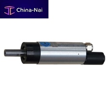 Rotary vane air motor LGS series