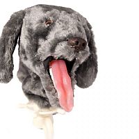 Veterinary training manikin 606for intubationdoghead
