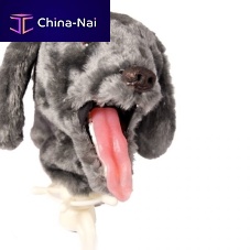 Veterinary training manikin 606for intubationdoghead